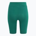FILA leggings donna Buckautal avventurina 6