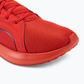 PUMA Softride Carson scarpe da corsa per tutti i tempi rosso/puma nero 7