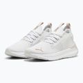Scarpe da corsa donna PUMA Softride Symmetry Fuzion Feather grigio/mauve mist/rose gold