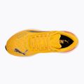 Scarpe da corsa da uomo PUMA Nitro 2 Tech sun stream/sunset glow/puma bianco 5