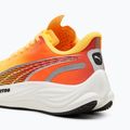 Scarpe da corsa da donna PUMA Velocity Nitro 3 Fade sun stream/sunset glow/bianco 12