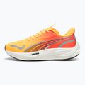 Scarpe da corsa da uomo PUMA Velocity Nitro 3 Fade sun stream/sunset glow/bianco 10