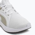 PUMA Softride Carson scarpe da corsa puma bianco/deserto polvere 7