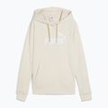 Felpa da donna PUMA ESS No. 1 Logo Hoodie TR alpine snow