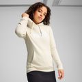 Felpa da donna PUMA ESS No. 1 Logo Hoodie TR alpine snow 3