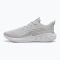 PUMA Softride Carson scarpe da corsa grigio chiaro/rosa malva/puma argento