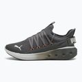 PUMA Softride Carson Fresh scarpe da corsa cool grigio scuro/grigio piuma/fuoco caldo