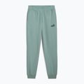 Uomo PUMA ESS No. 1 Logo Sweatpants TR CL verde luna