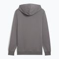Felpa da uomo PUMA ESS Small No. 1 Logo Hoodie TR ghisa 2