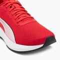 PUMA Flyer Lite 3 scarpe da corsa puma nero/per sempre rosso 7