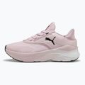 Scarpe da corsa da donna PUMA Softride Mayve rose mauve/puma nero/sun struck