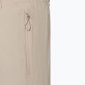 Pantaloni da sci da uomo BOGNER FIRE+ICE Nic-T nomadic desert 3