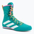 Scarpe da boxe adidas Box Hog 4 turquoise