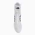 Scarpe da boxe adidas Box Hog II white/black 5