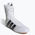 Scarpe da boxe adidas Box Hog Classic white