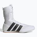 Scarpe da boxe adidas Box Hog Classic white 2
