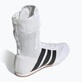 Scarpe da boxe adidas Box Hog Classic white 4