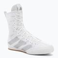 Scarpe da boxe adidas Box Hog 4 white/silver