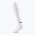 CEP Calze a compressione da donna Run Tall 5.0 bianco 3