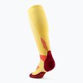 CEP Run Tall 5.0 calze a compressione da donna color calendula/bordeaux 3