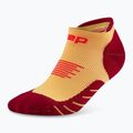 Calzini a compressione CEP Run No Show 5.0 da uomo, color calendula/bordeaux 2