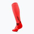 Calze a compressione da uomo CEP Run Tall 5.0 neon coral 3