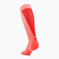 Calzini da donna CEP Ultralight Tall 4.0 neon coral/red 3