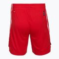 Pantaloncini da basket da uomo PUMA teamJAWS Starter per sempre rosso 2