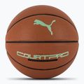 PUMA teamJAWS Court Pro Basket in pelle marrone/ombra scura numero 7