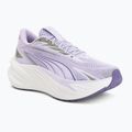 Scarpe da corsa Puma Maxima Pro light lavender/plum purple