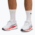 Scarpe da corsa uomo Puma Velocity Nitro 5 puma white/ultra red 7
