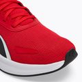 PUMA Skyrocket Lite scarpe da corsa per tutti i tempi rosso/puma nero 7