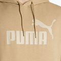 Felpa da uomo PUMA Essentials Big Logo Hoodie FL prairie tan 3