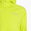 Giacca da corsa da uomo PUMA Run Favoriteoven con cappuccio verde 3