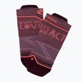 Calze da trekking da donna ORTOVOX Alpine Light Low mountain rose 4