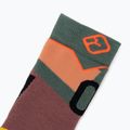 Calze da sci da donna ORTOVOX Freeride Long Socks Accogliente erba selvatica 4