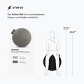 STRYVE Active Ball 65 cm grigio pietra 6