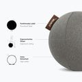 STRYVE Active Ball 65 cm grigio pietra 7
