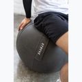 STRYVE Active Ball 65 cm grigio pietra 14