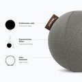 STRYVE Active Ball 65 cm grigio chiaro 4