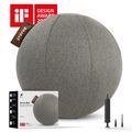 STRYVE Active Ball 65 cm grigio chiaro 9