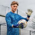 Guanti da portiere T1TAN Blue Beast 3.0 FP blue/white 3