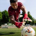Guanti da portiere T1TAN Beast 4.0 demon red 3