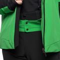 Giacca da sci da uomo Descente Reign ever green 14