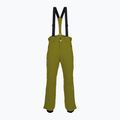 Pantaloni da sci da uomo Descente Roscoe verde oliva