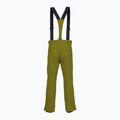 Pantaloni da sci da uomo Descente Roscoe verde oliva 2