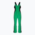Pantaloni da sci Descente Velche 19 bio verde