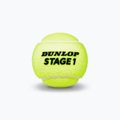 Palline da tennis per bambini Dunlop Stage 1 3 pezzi verde 601338 3