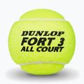 Palline da tennis Dunlop Fort All Court Ts 4B 2025 3