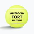 Palline da tennis Dunlop Fort All Court Ts 4B 2025 3